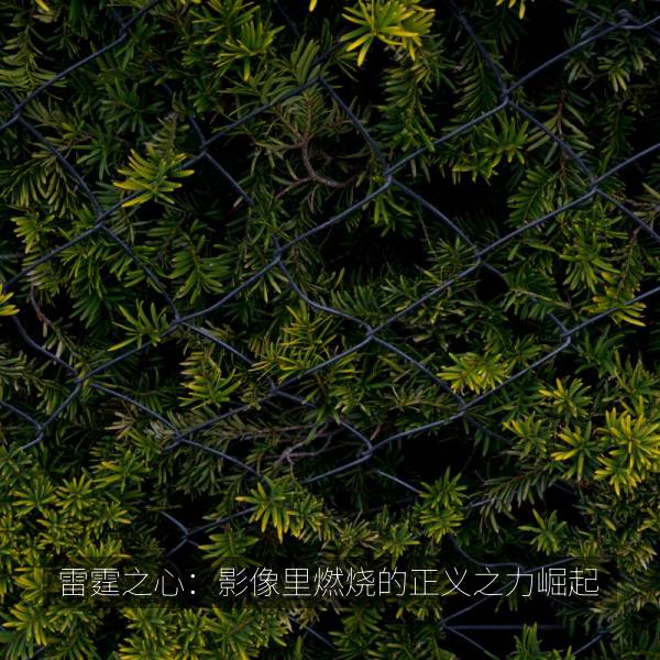 雷霆之心：影像里燃烧的正义之力崛起海报
