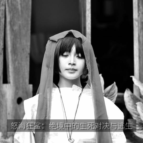 怒海狂鲨：绝境中的生死对决与逃生海报