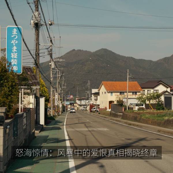 怒海惊情：风暴中的爱恨真相揭晓终章海报